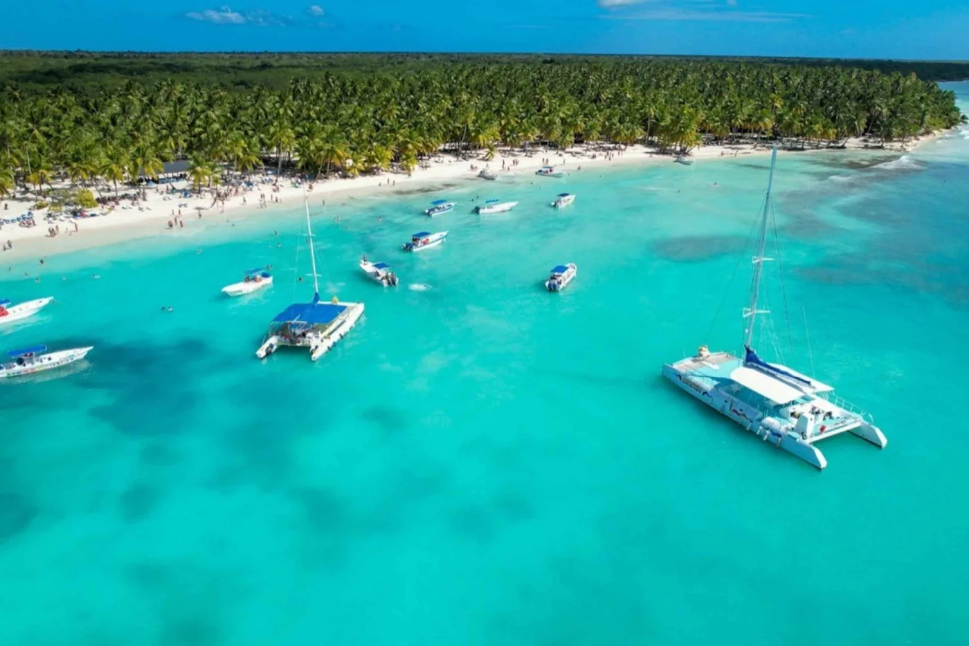 Katamarane vor einer palmengesäumten Küste auf Saona